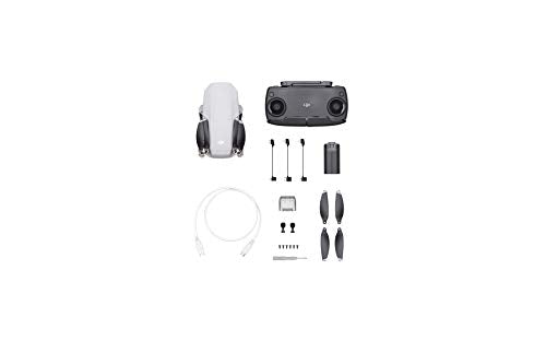  DJI Mavic Mini Combo Drone FlyCam Quadcopter con