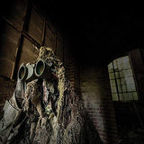 Steiner Military-Marine Series Binoculars, Lightweight Tactical Precision Optics for Any Situation, Waterproof, Green, 7x50