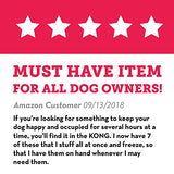 KONG 41938 Classic Dog Toy, Large, Red, KONG Classic Large