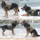 ICEFANG Large Dog Tactical Harness,Military K9 Working Dog Molle Vest,No Pulling Front Clip,Metal Buckle Easy Put On Off (L (28"-35" Girth), CB-Molle Half Body)