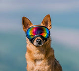 Rex Specs Dog Goggles - Eye Protection for The Active Dog