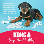KONG 41938 Classic Dog Toy, Large, Red, KONG Classic Large
