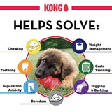 KONG 41938 Classic Dog Toy, Large, Red, KONG Classic Large